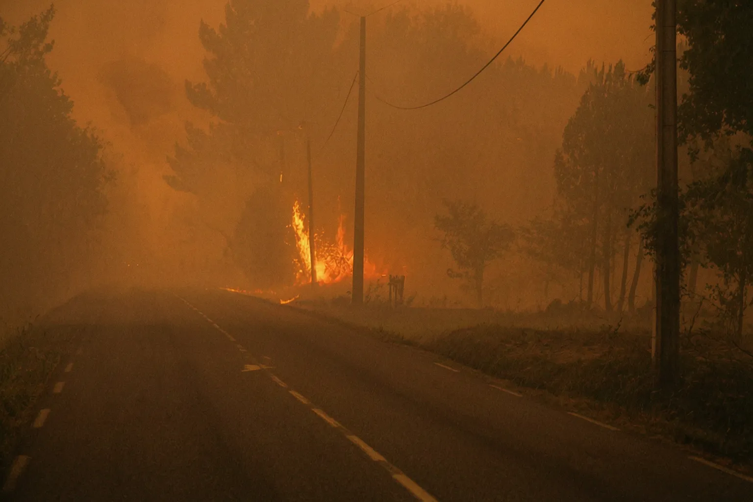 Traumatismes après les incendies : comment accompagner le stress post-traumatique
